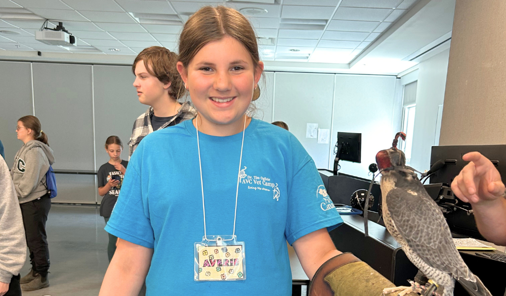 Camper Averie holds a falcon during Vet Camp