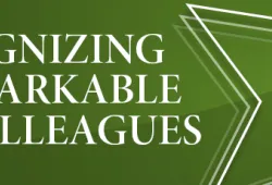 Graphics with star shapes and text 